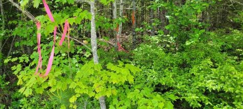 Map2lot 20 South Bay Road Franklin ME 04634