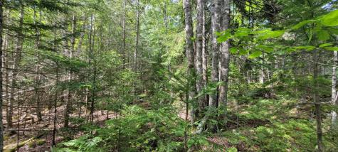 Map2lot 20 South Bay Road Franklin ME 04634