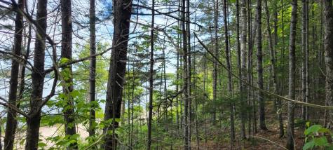Map2lot 20 South Bay Road Franklin ME 04634