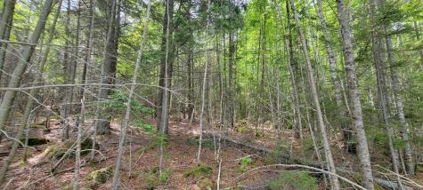 Map2lot 20 South Bay Road Franklin ME 04634