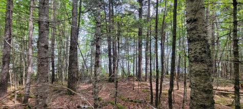 Map2lot 20 South Bay Road Franklin ME 04634