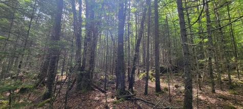 Map2lot 20 South Bay Road Franklin ME 04634