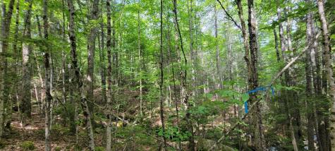 Map2lot 20 South Bay Road Franklin ME 04634