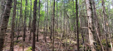 Map2lot 20 South Bay Road Franklin ME 04634