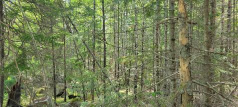 Map2lot 20 South Bay Road Franklin ME 04634