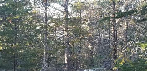 Map2lot 20 South Bay Road Franklin ME 04634