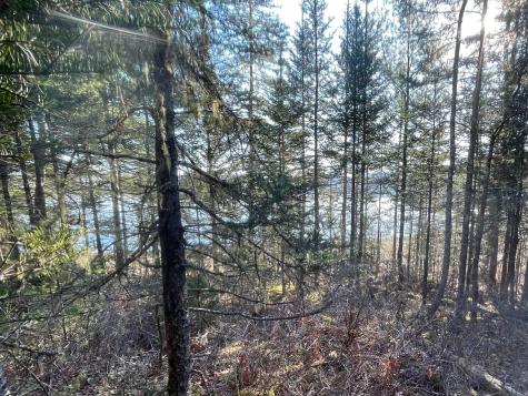 Map2lot 20 South Bay Road Franklin ME 04634