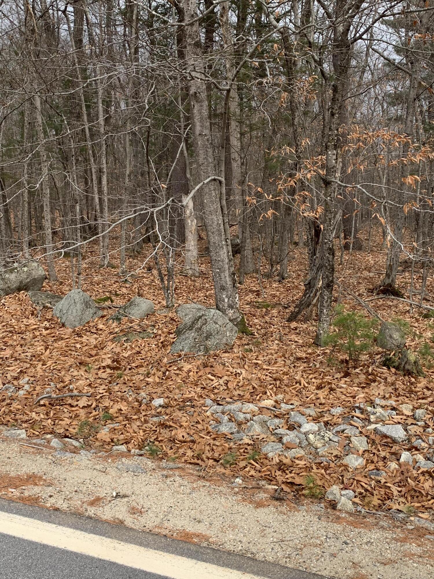 Lot 9 Sweden Road Bridgton ME 04009