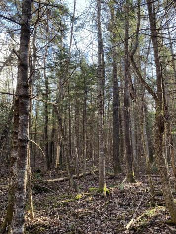 Lot 023 Pleasant Ridge Road Dexter ME 04930