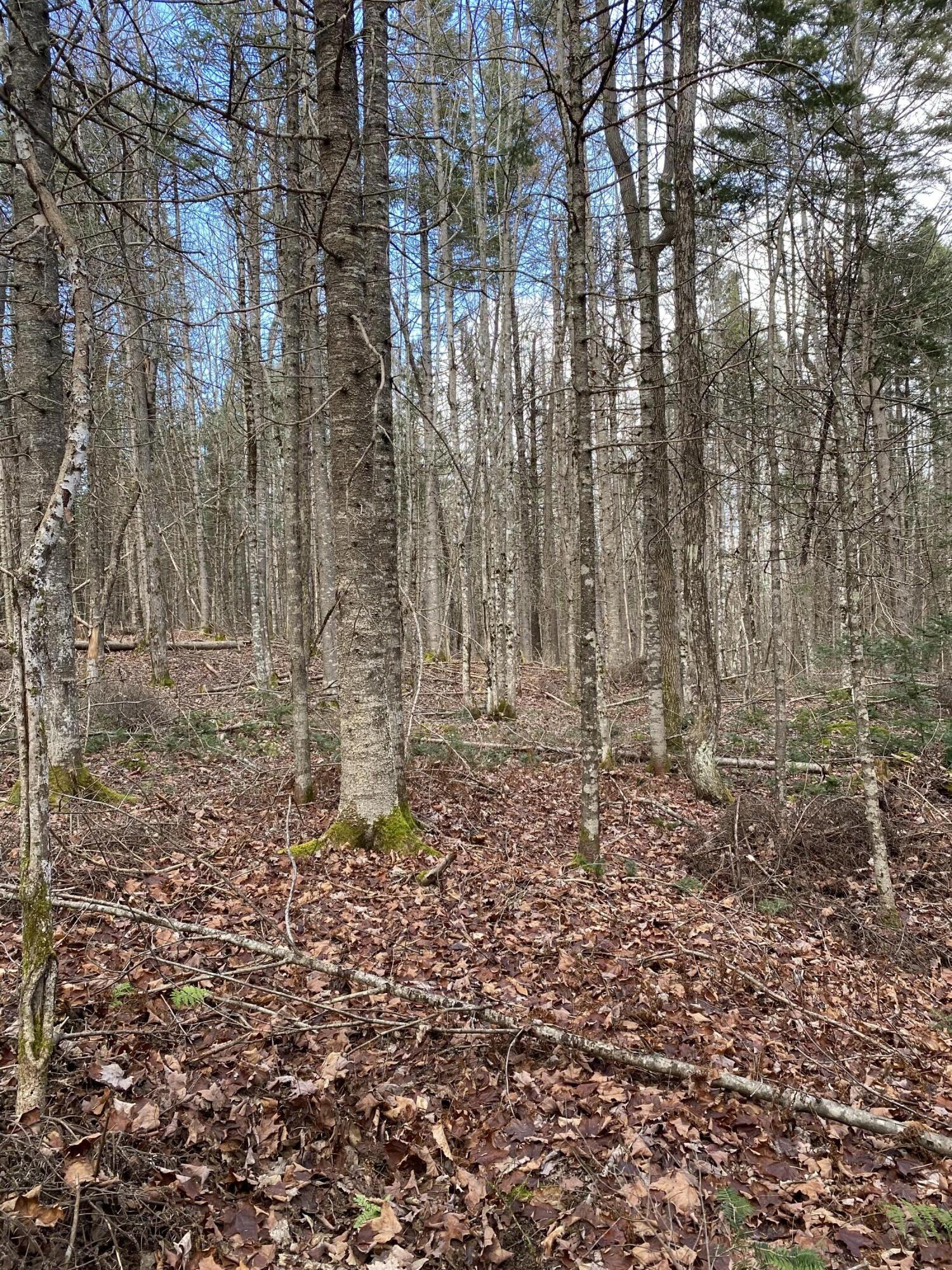 Lot 023 Pleasant Ridge Road Dexter ME 04930