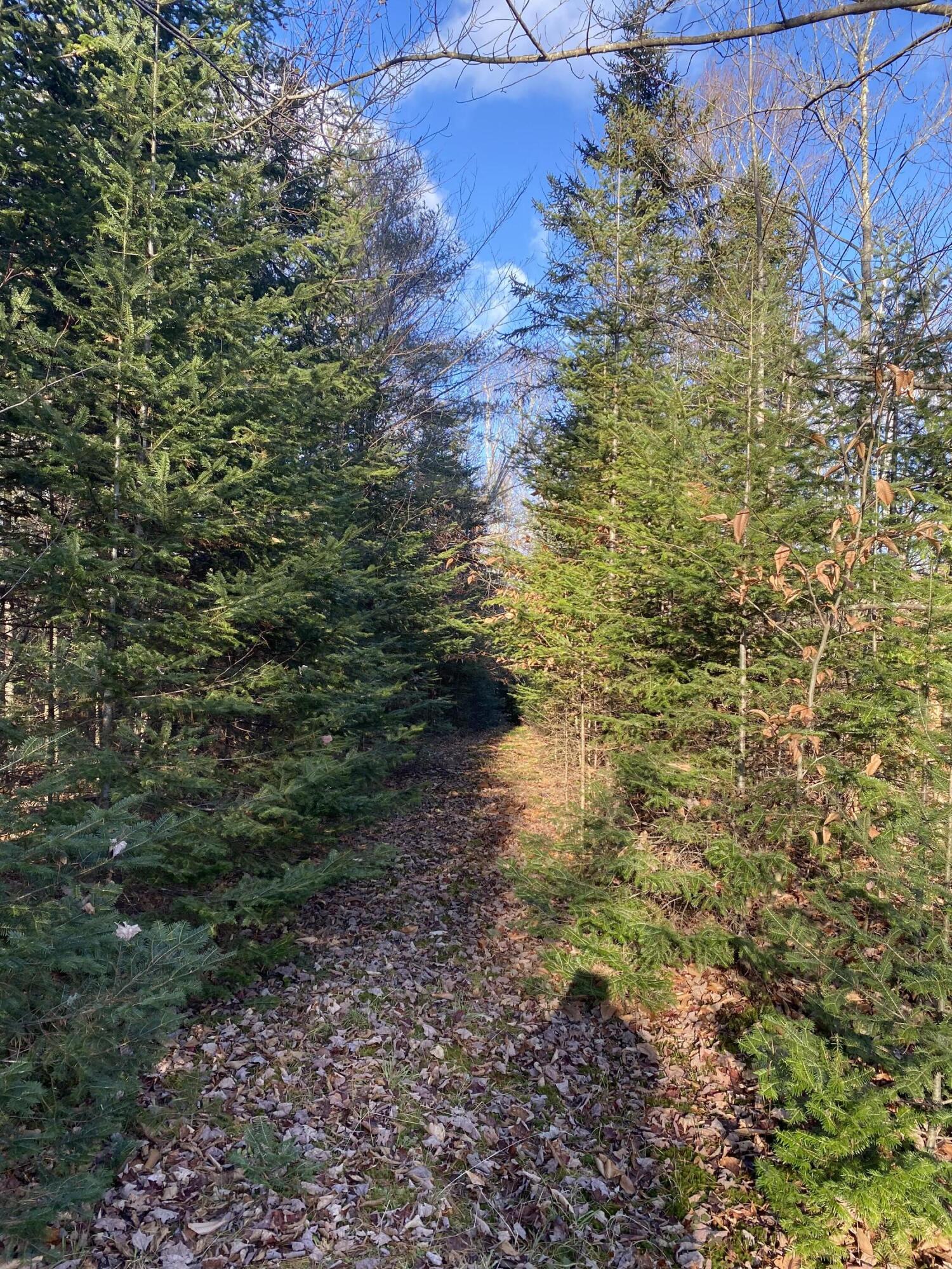 Lot 023 Pleasant Ridge Road Dexter ME 04930