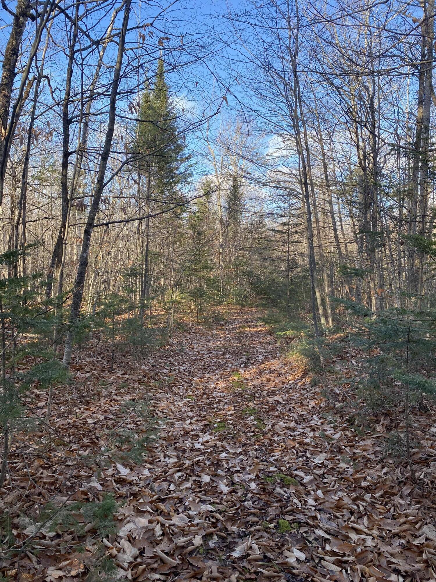 Lot 023 Pleasant Ridge Road Dexter ME 04930