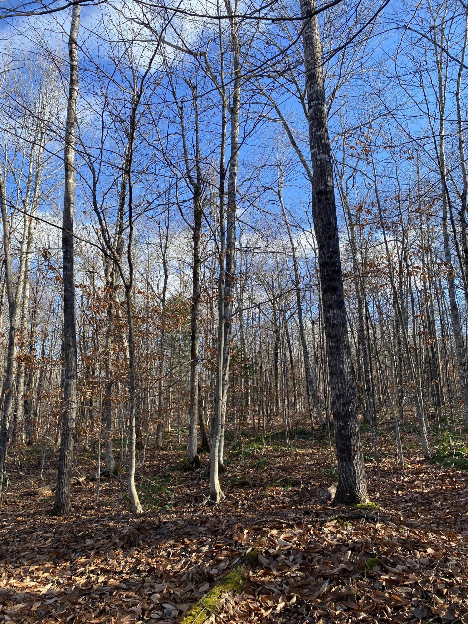 Lot 023 Pleasant Ridge Road Dexter ME 04930