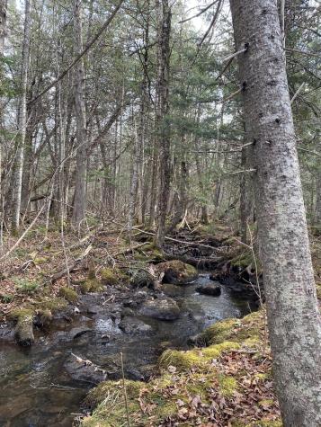 Lot 023 Pleasant Ridge Road Dexter ME 04930