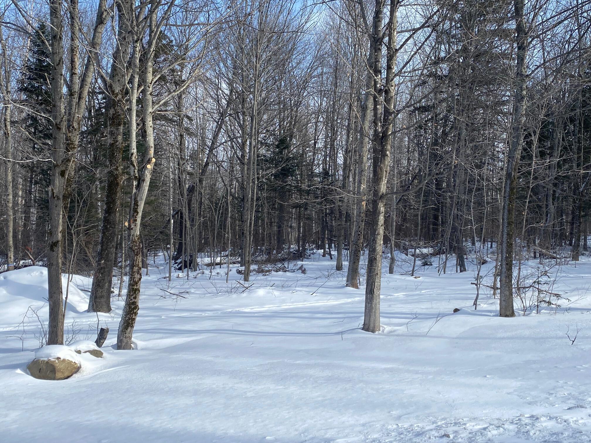 47 Greenville Road Shirley ME 04485