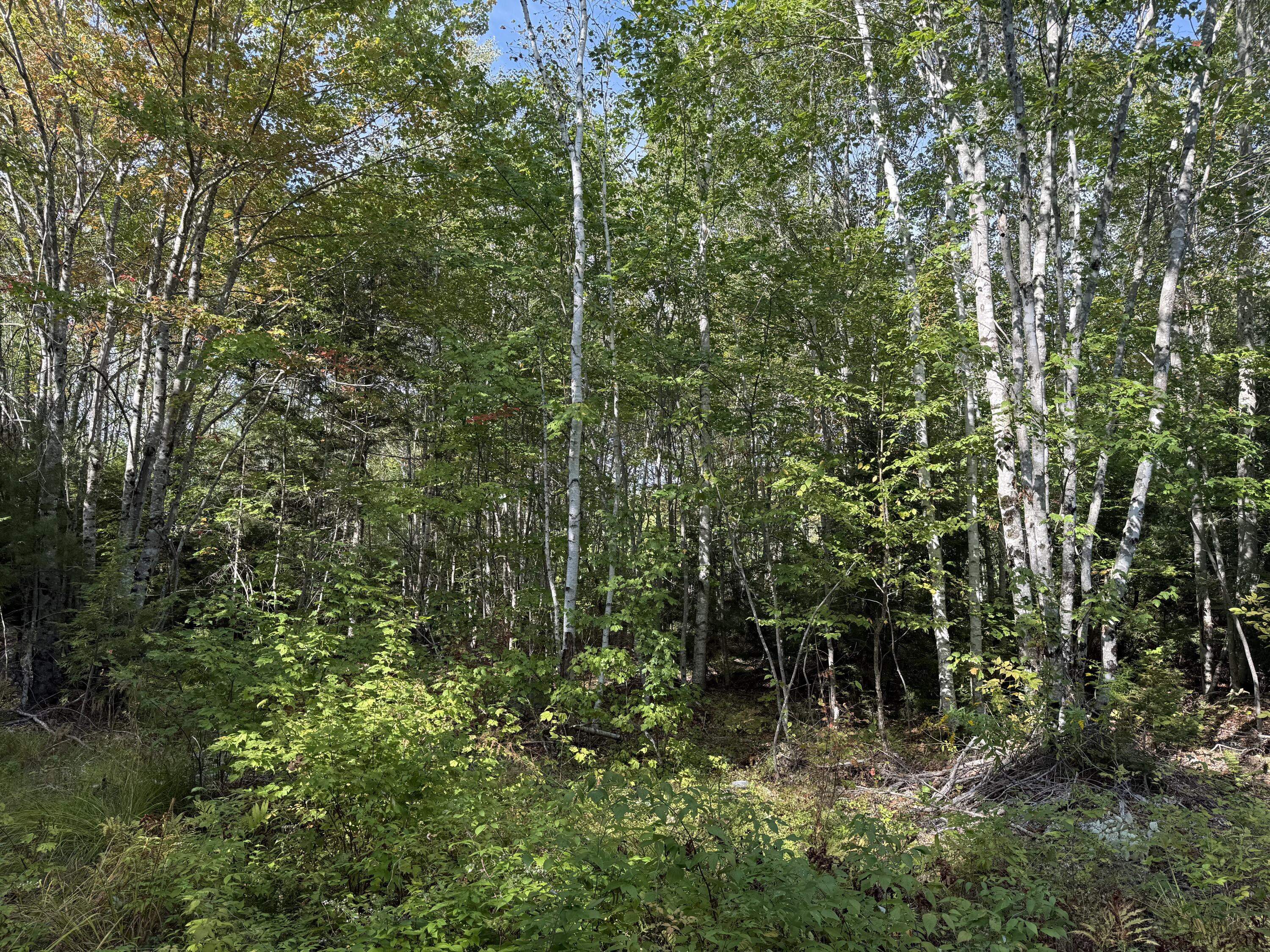 15 Moose Trail Drive Waltham ME 04605