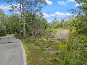 Lot 2 Map 49 Lot 16.2 Sanborn Road Newfield ME 04095