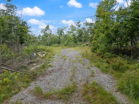 Lot 2 Map 49 Lot 16.2 Sanborn Road Newfield ME 04095