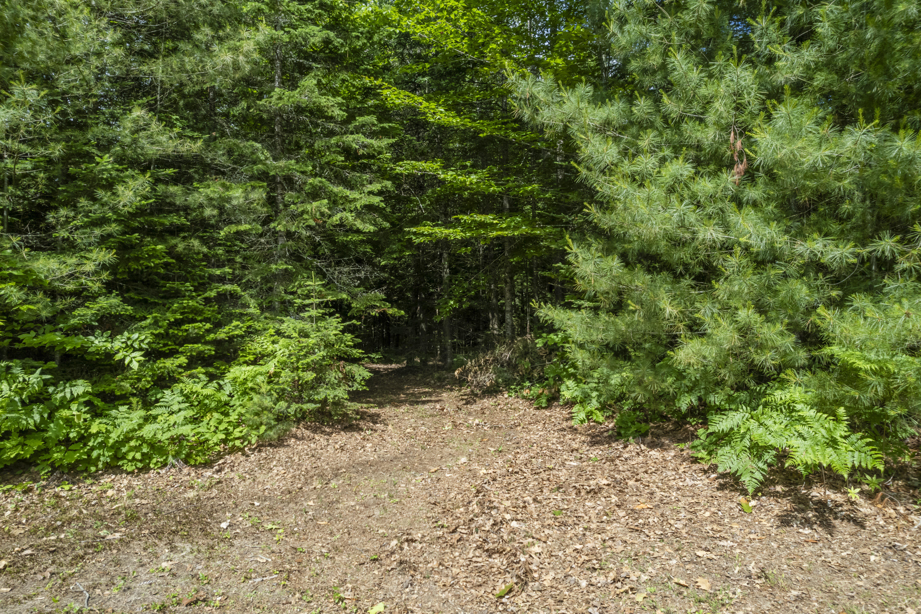 8-3 Turner Street Buckfield ME 04220