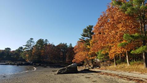 1118 Surry Road Surry ME 04684