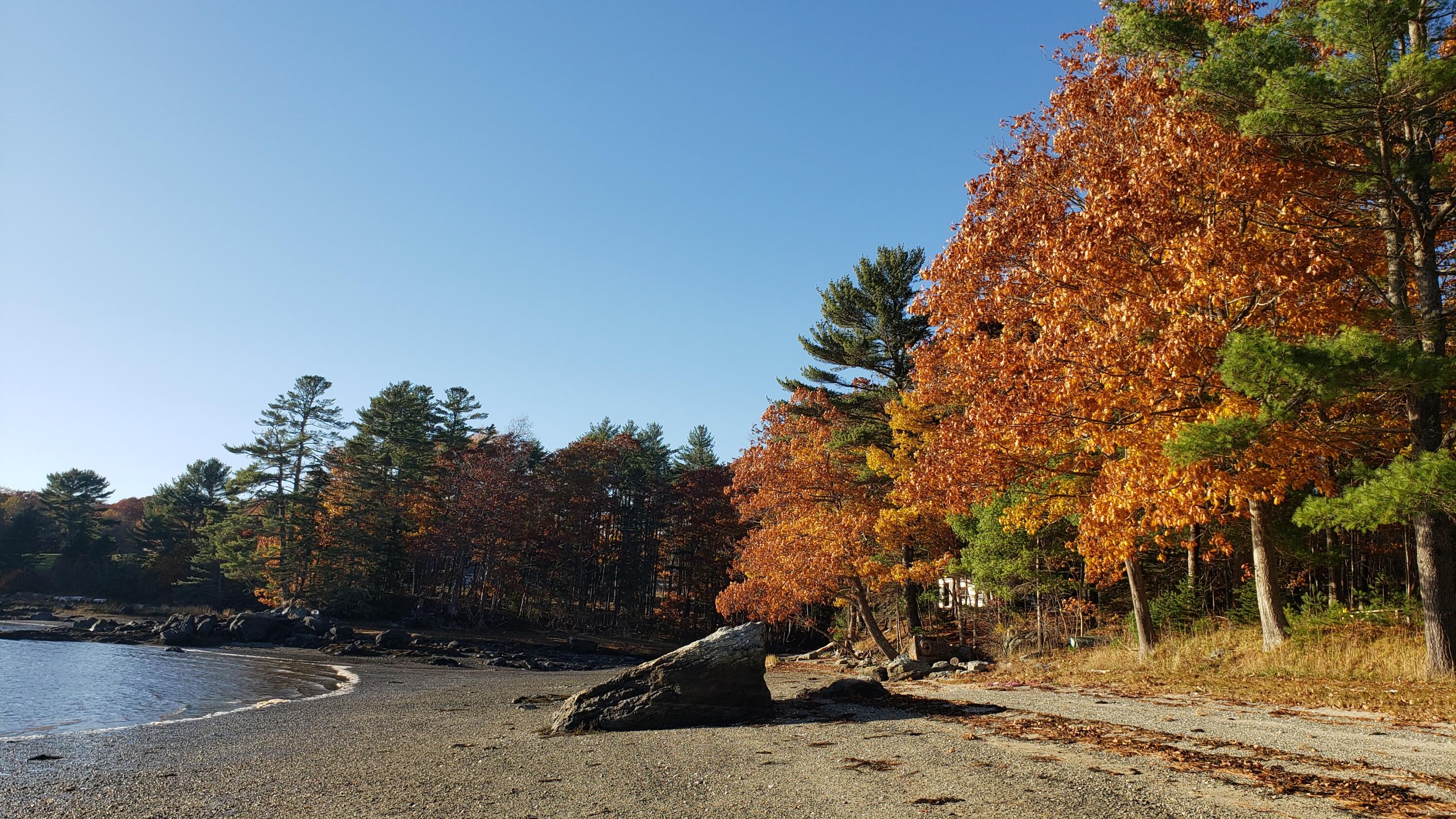 1118 Surry Road Surry ME 04684