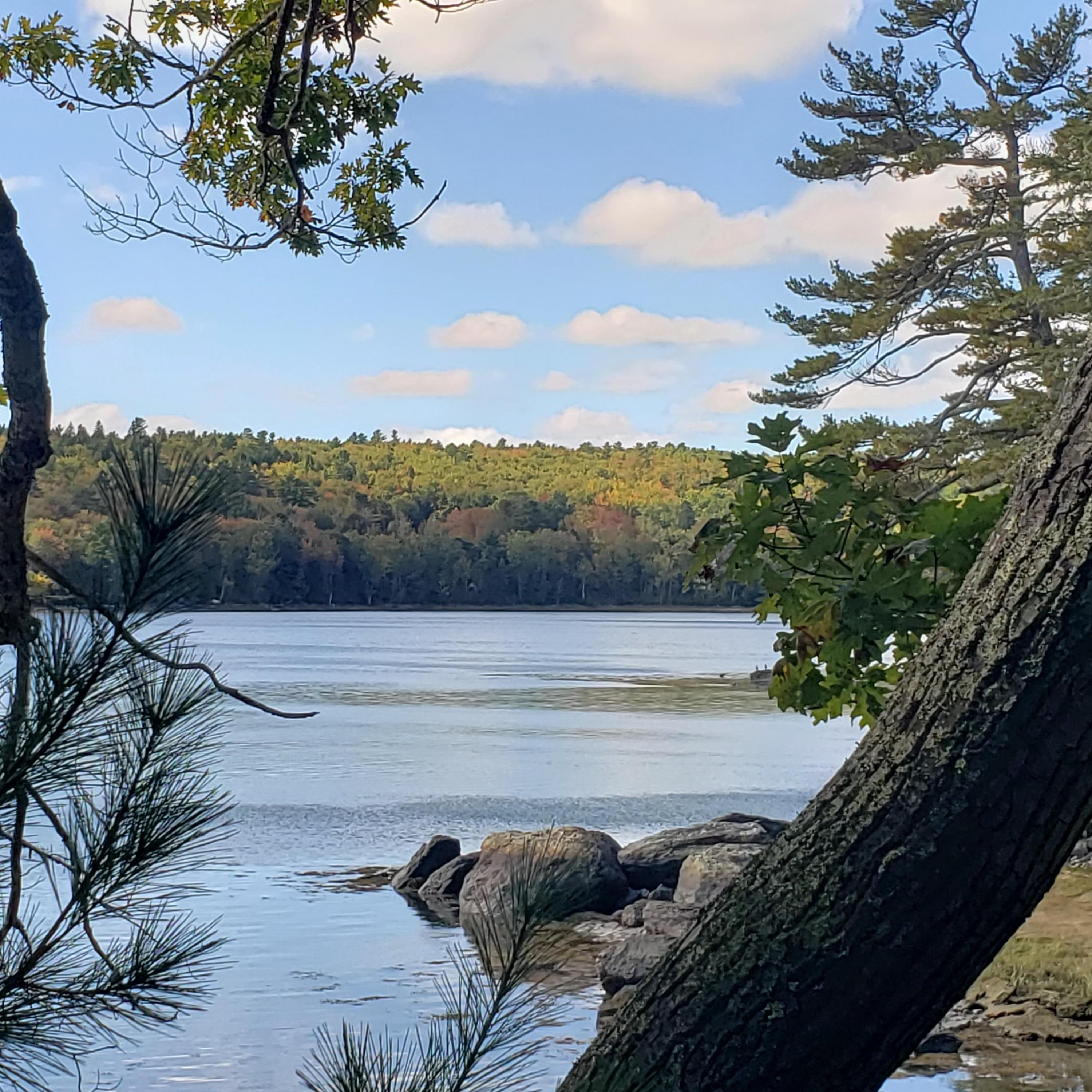 1118 Surry Road Surry ME 04684