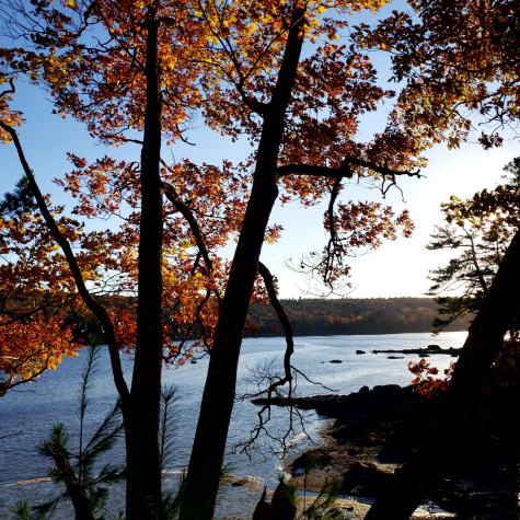 1118 Surry Road Surry ME 04684