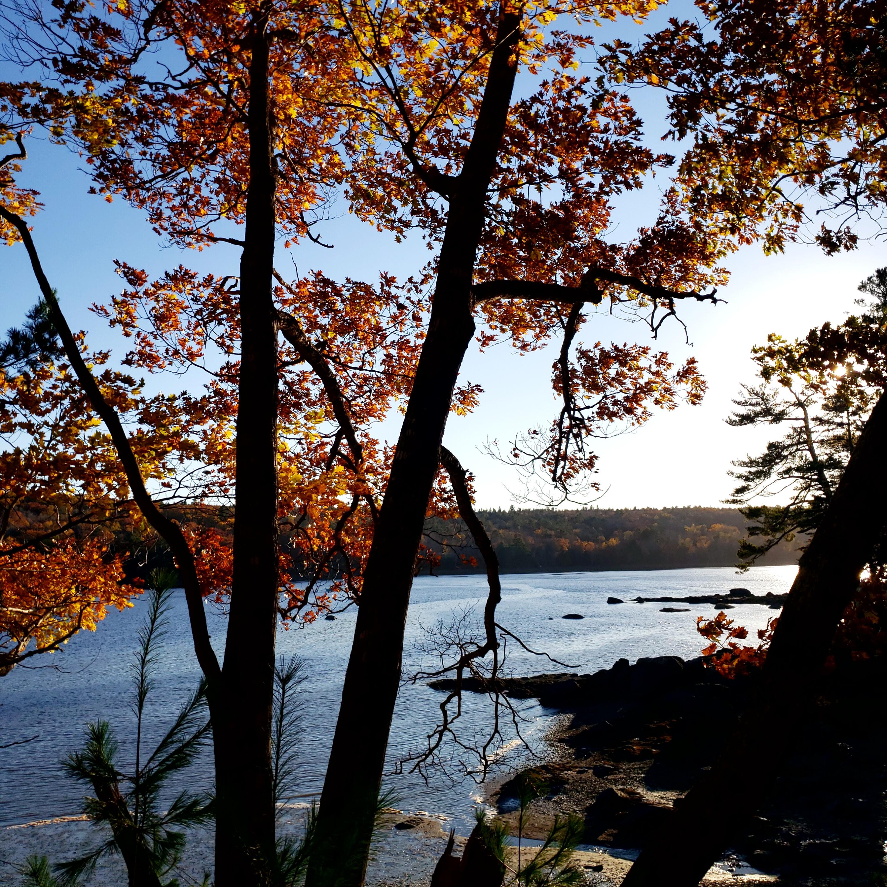 1118 Surry Road Surry ME 04684