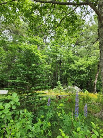 1118 Surry Road Surry ME 04684