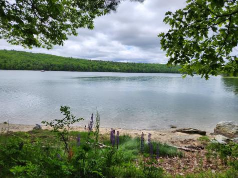 1118 Surry Road Surry ME 04684