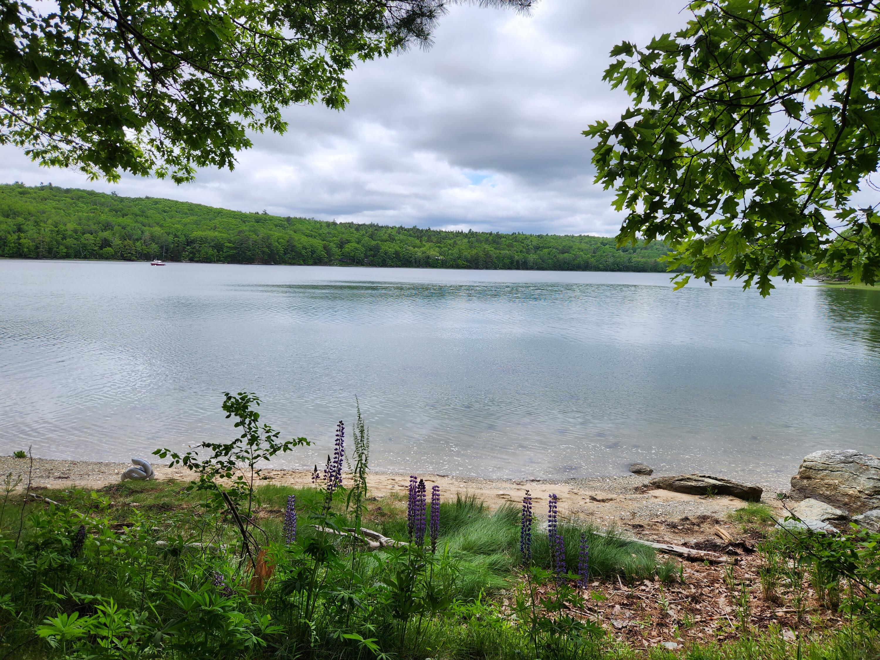 1118 Surry Road Surry ME 04684