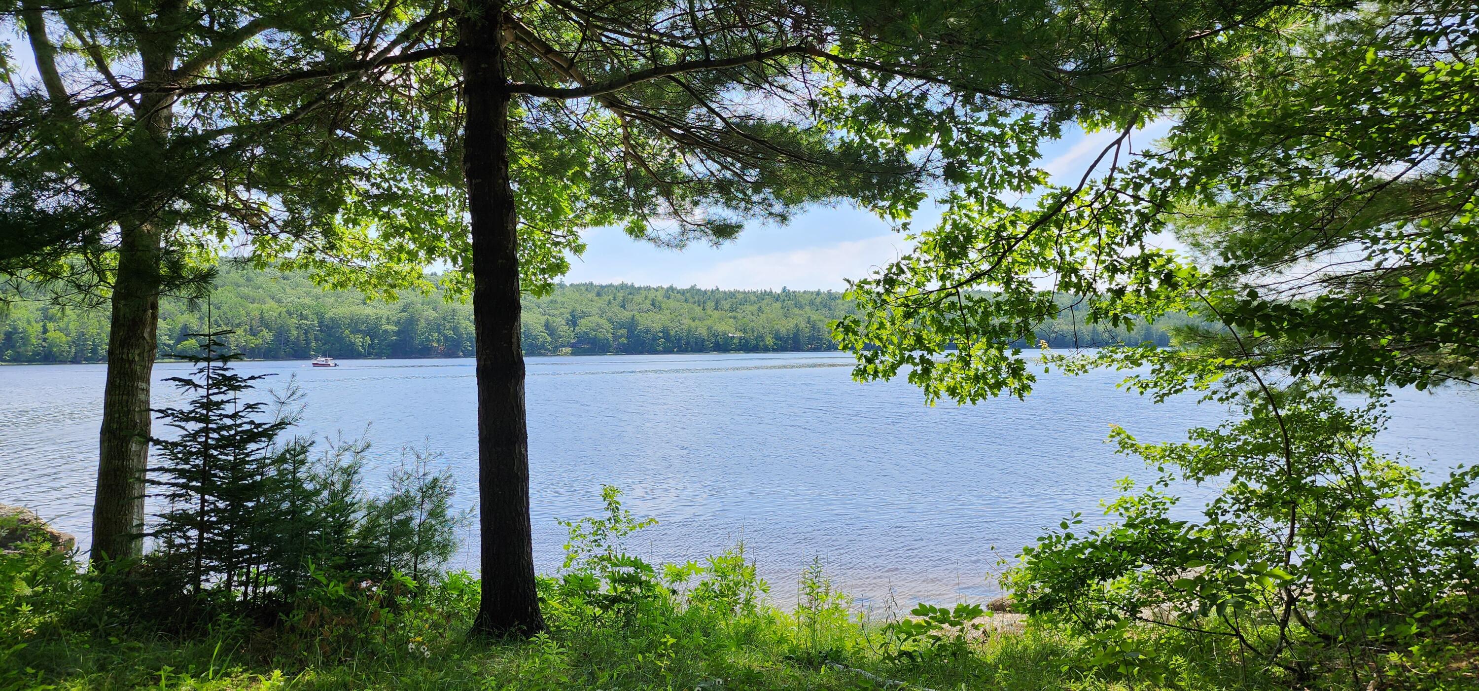 1118 Surry Road Surry ME 04684