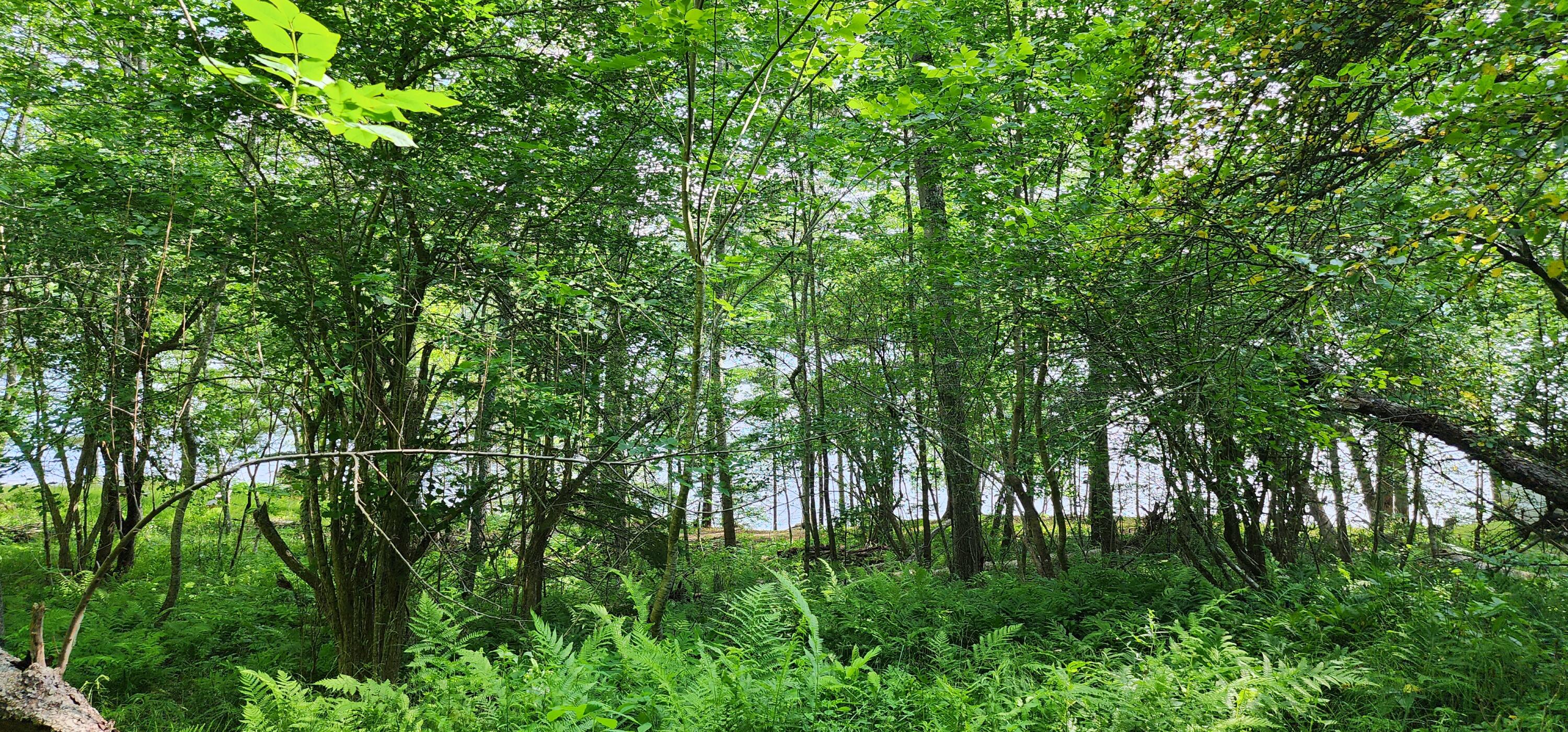 1118 Surry Road Surry ME 04684