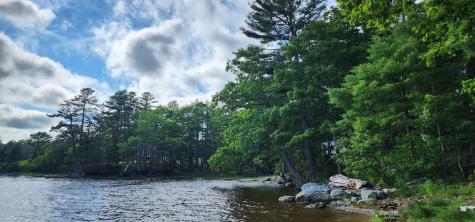 1118 Surry Road Surry ME 04684