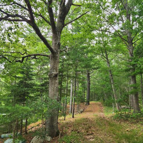 1118 Surry Road Surry ME 04684