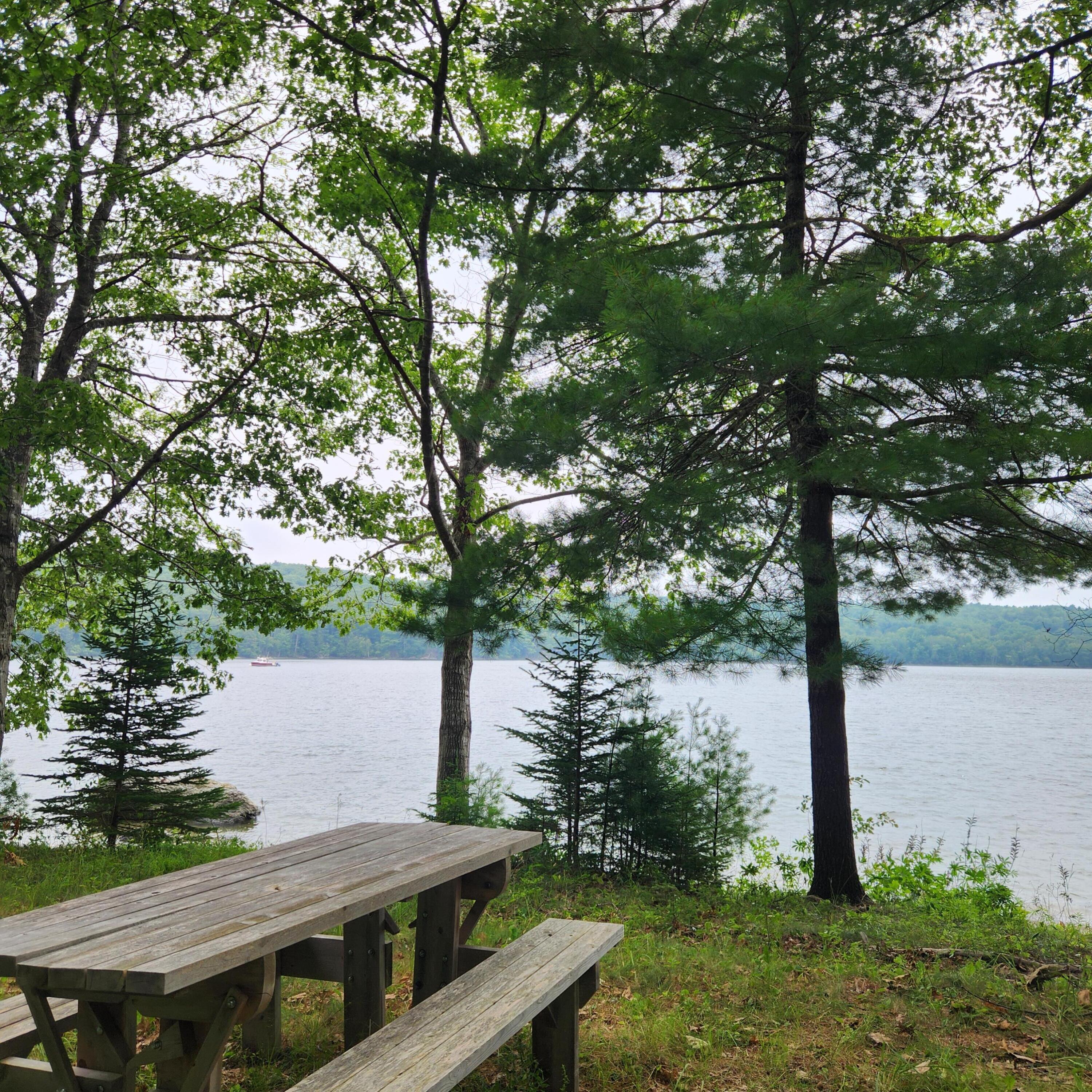 1118 Surry Road Surry ME 04684