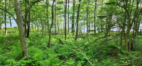 1118 Surry Road Surry ME 04684