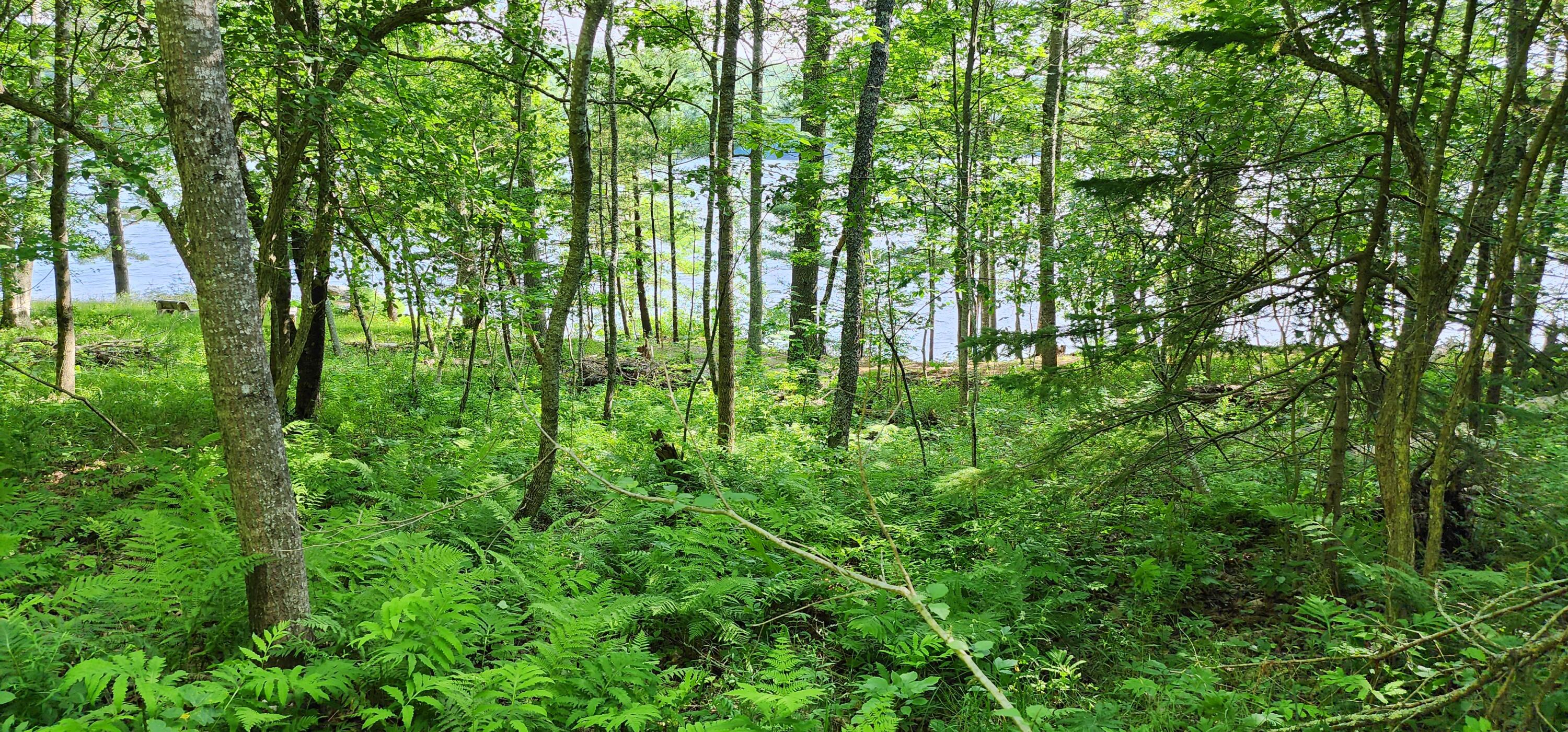 1118 Surry Road Surry ME 04684