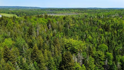 Lot 7 Kennebec Road Machias ME 04654