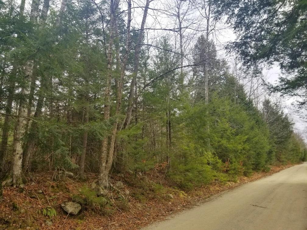 Tbd Shadagee Road New Sharon, ME