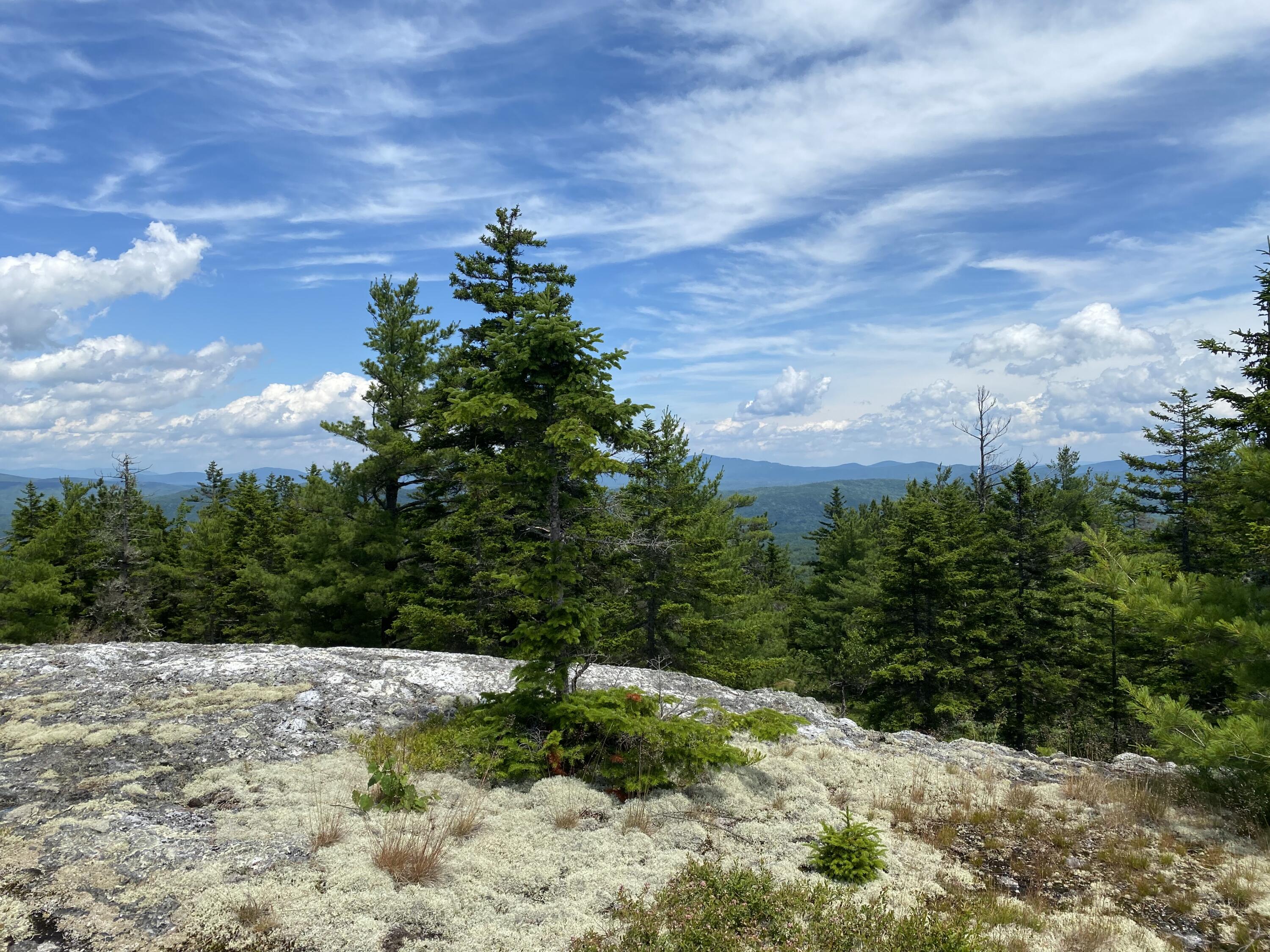 19 Hawk Lane Rumford ME 04276