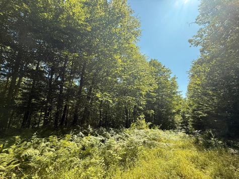 Map R05 Lot 18 Hayes Hill Road Greenwood ME 04255