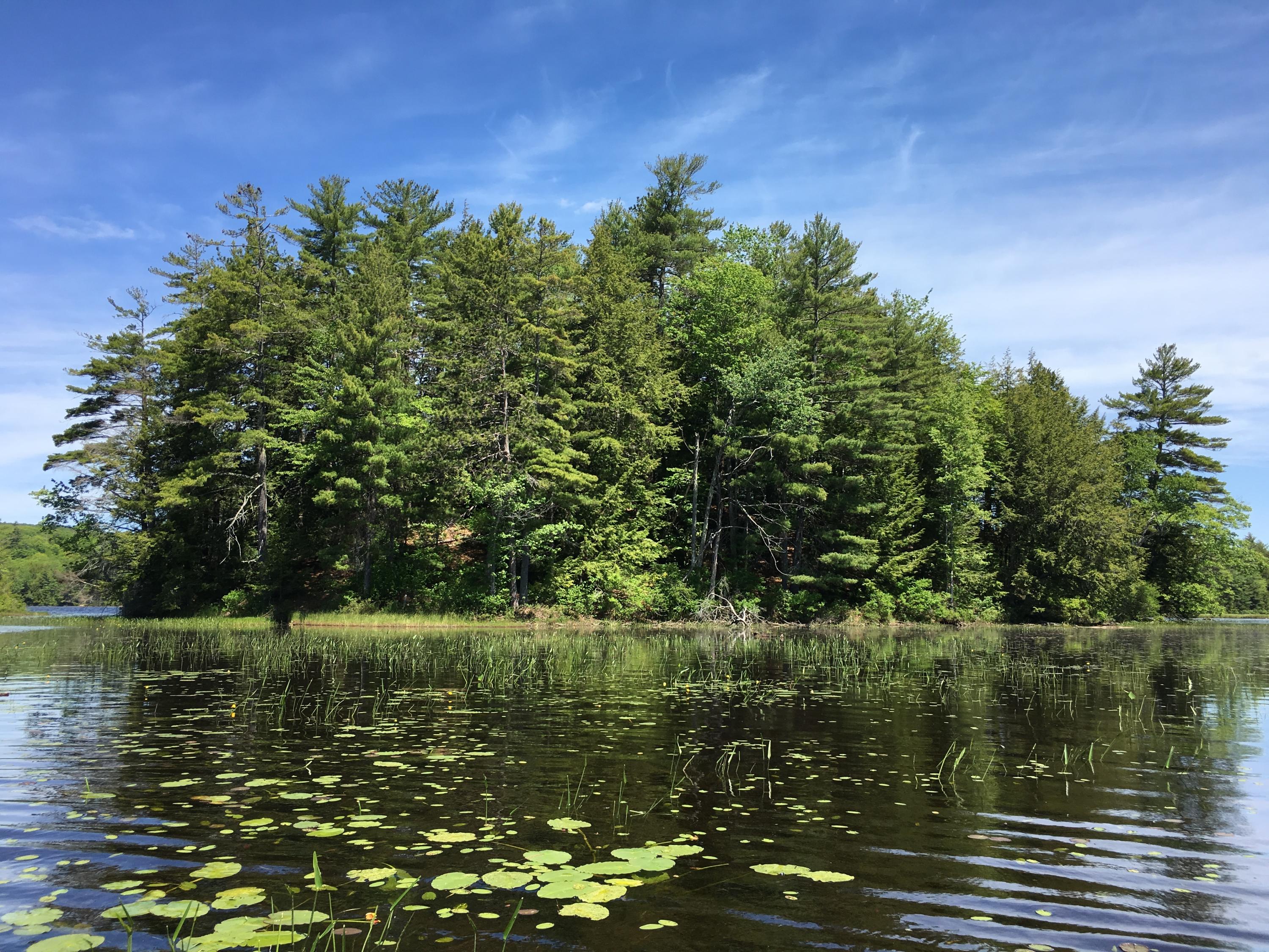 00 Stevens Pond Island Liberty, ME