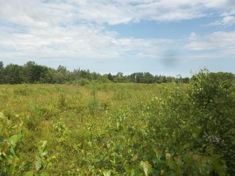 M5 L11 East Ridge Road Cooper ME 04657