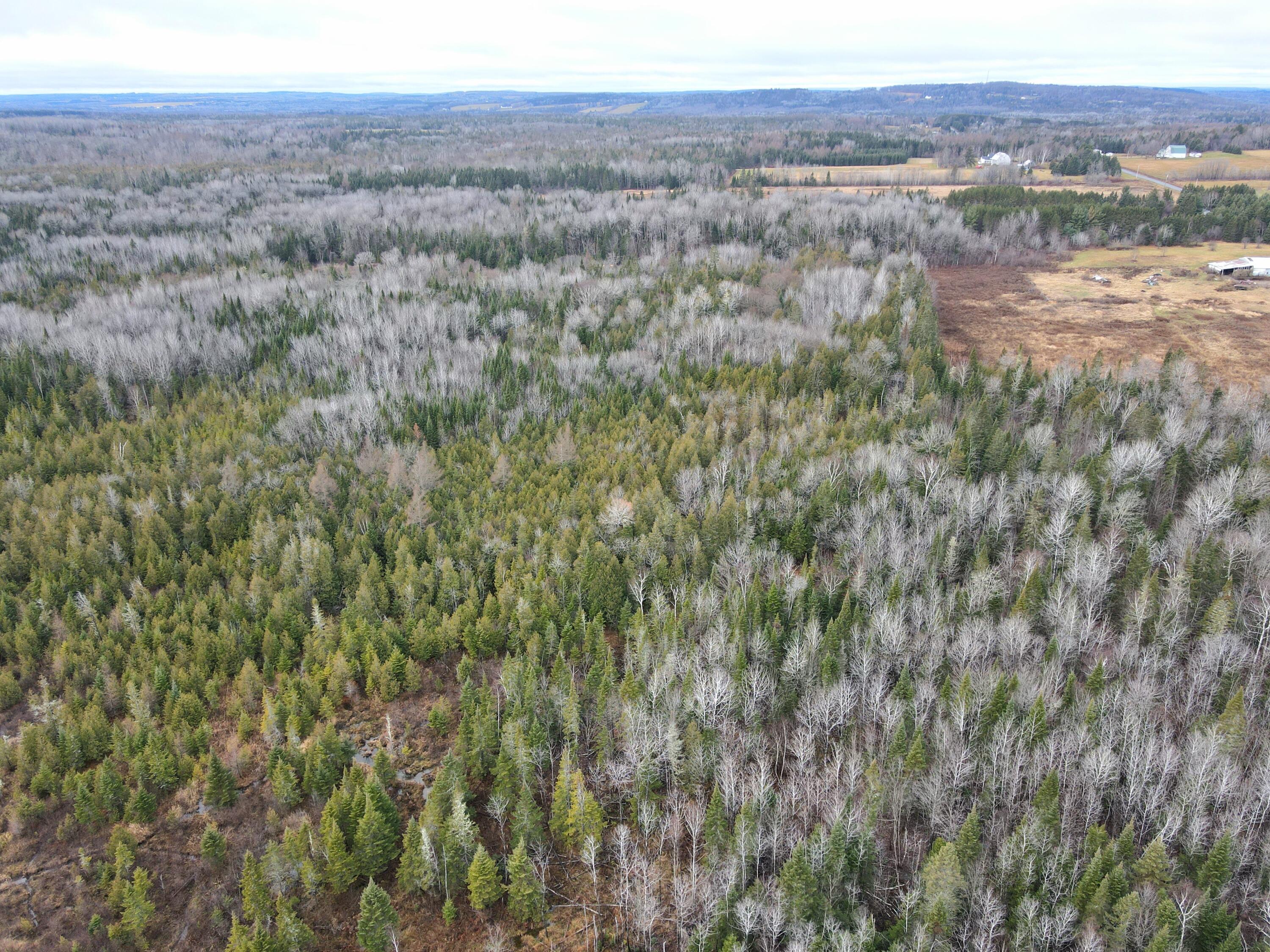 480 Plante Road Caribou ME 04736
