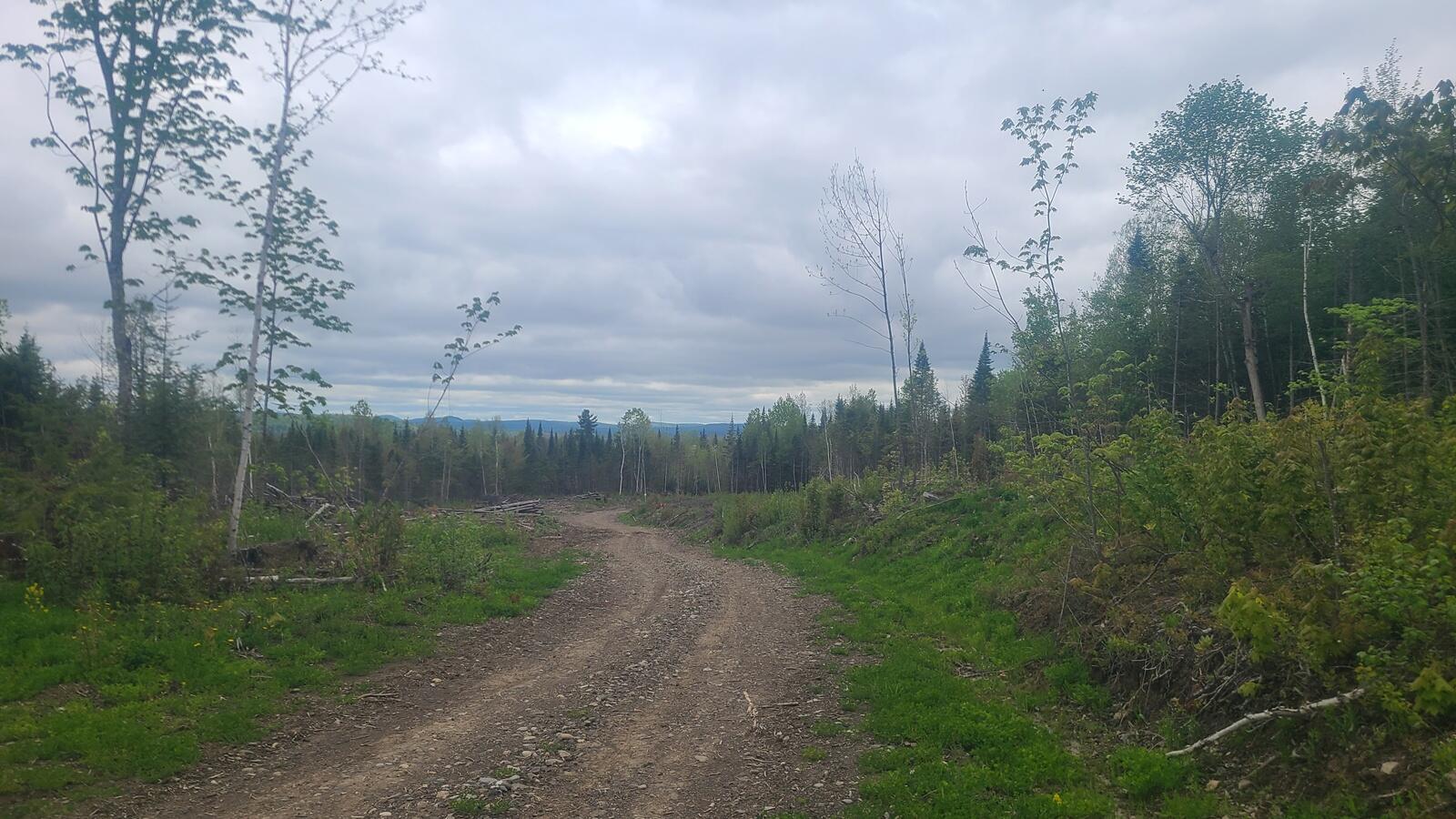 26/28/33/4 Aroostook Road Portage Lake ME 04768