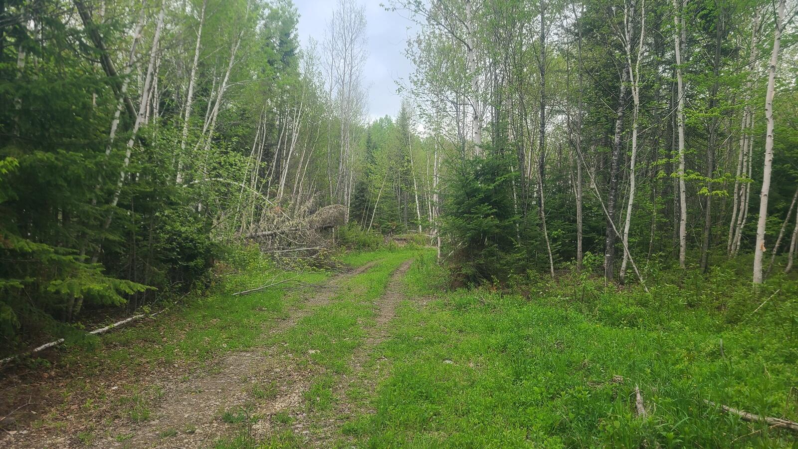 26/28/33/4 Aroostook Road Portage Lake ME 04768