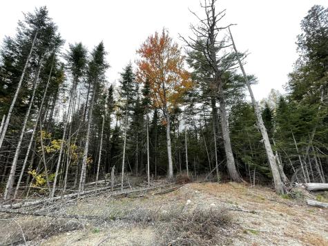 3306 Mariaville Road Mariaville ME 04605