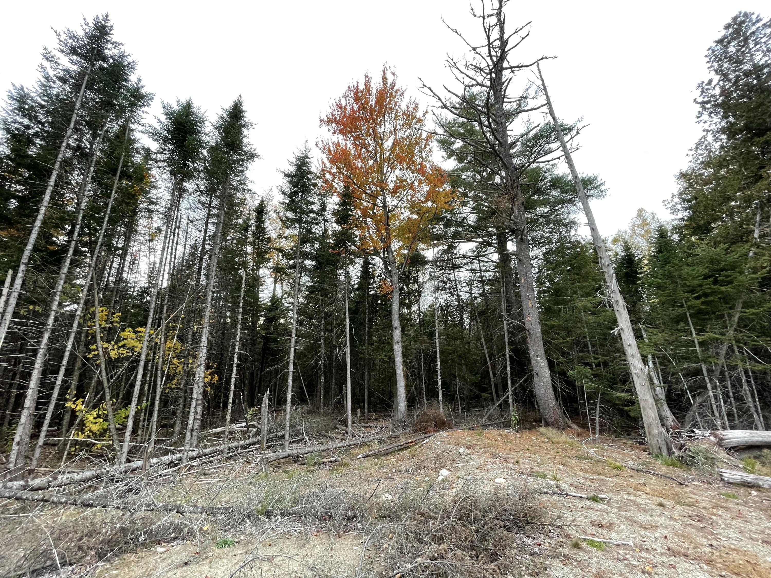3306 Mariaville Road Mariaville ME 04605