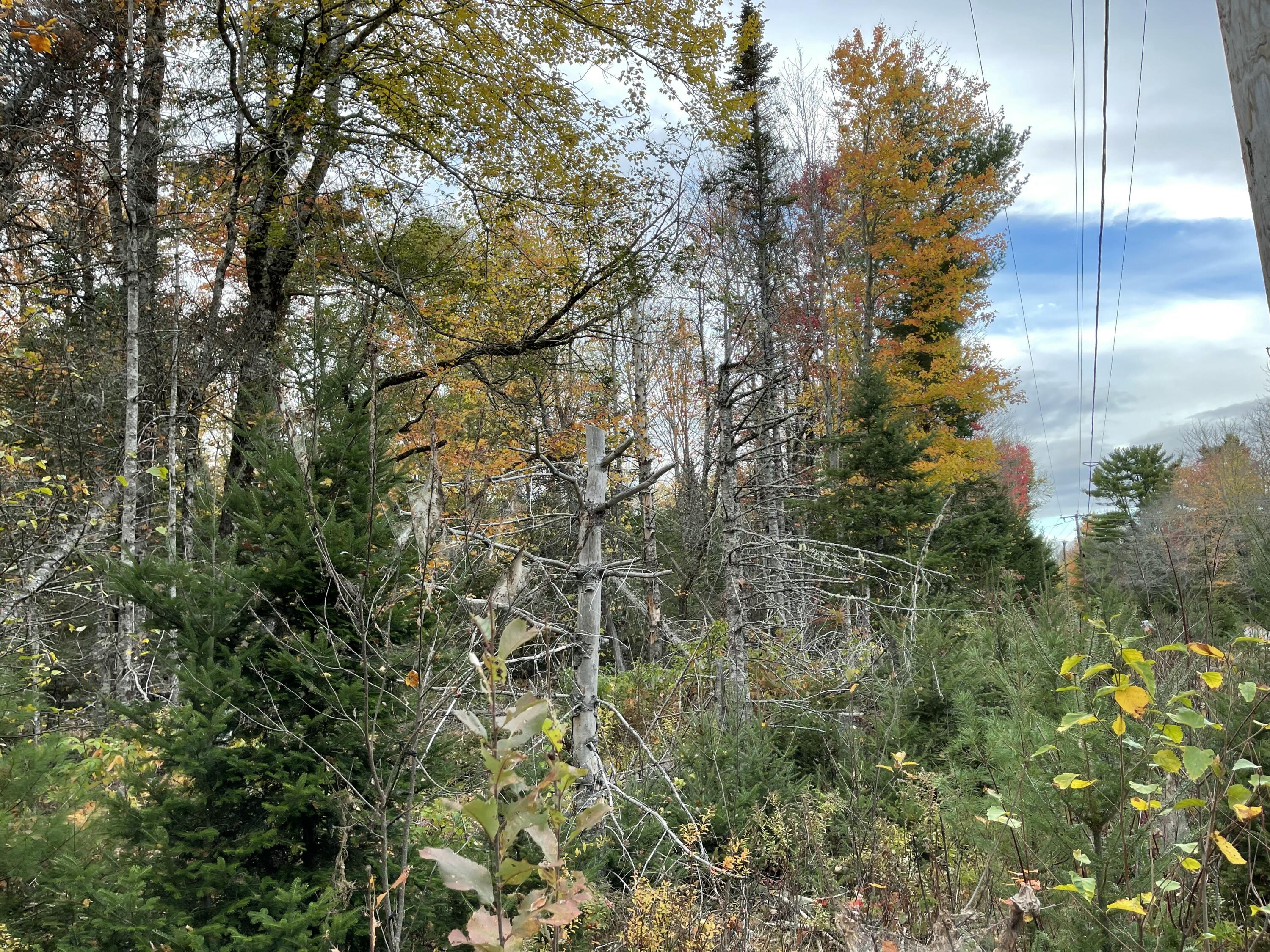 3306 Mariaville Road Mariaville ME 04605